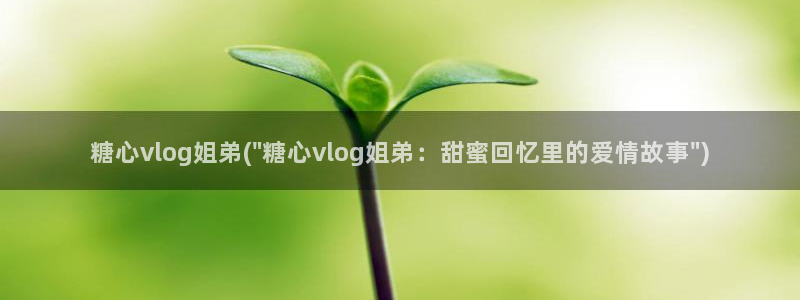 糖心vlgo丨VK