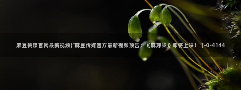 麻豆视频推荐视频：麻豆传媒官网最新视频(\