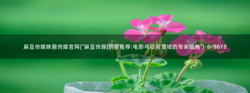 麻豆视频完整版入口：麻豆传媒映画传媒官网(\