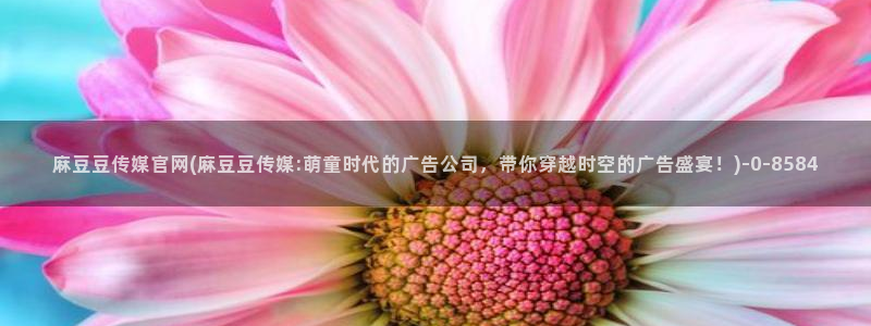 麻豆视频高清高清：麻豆豆传媒官网(麻豆豆传媒:萌