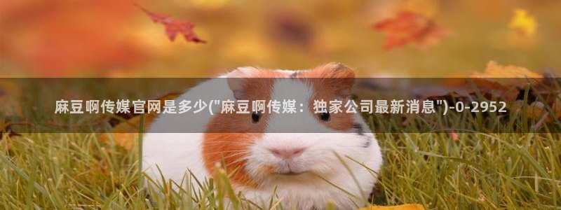 麻豆视频 精选完整版：麻豆啊传媒官网是多少(\