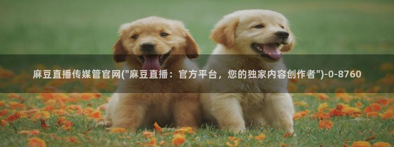 麻豆视频 入口：麻豆直播传媒管官网(\