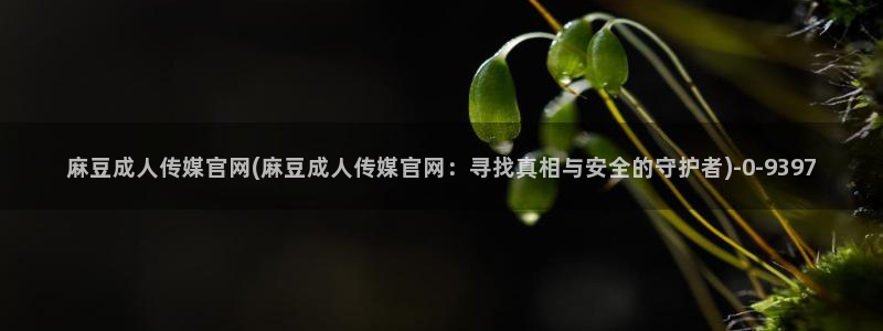 麻豆视频入口更新：麻豆成人传媒官网(麻豆成人传媒