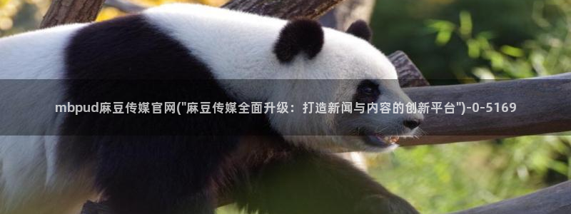 麻豆 最新合集：mbpud麻豆传媒官网(\