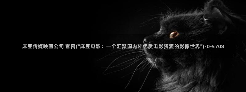 麻豆 最新整理：麻豆传媒映画公司 官网(\