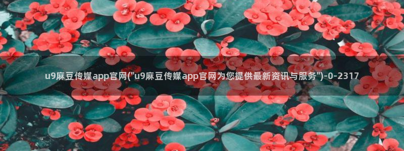 麻豆视频短片专区：u9麻豆传媒app官网(\