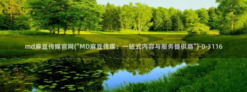 麻豆视频整理：md麻豆传媒官网(\