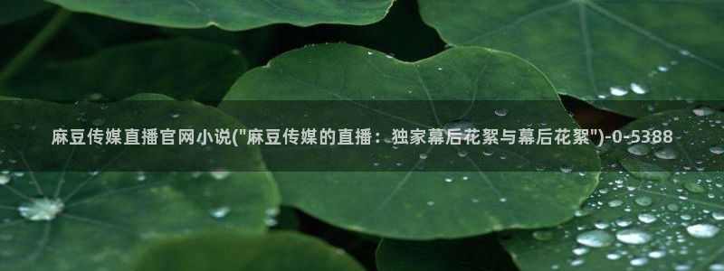 麻豆资源页面：麻豆传媒直播官网小说(\