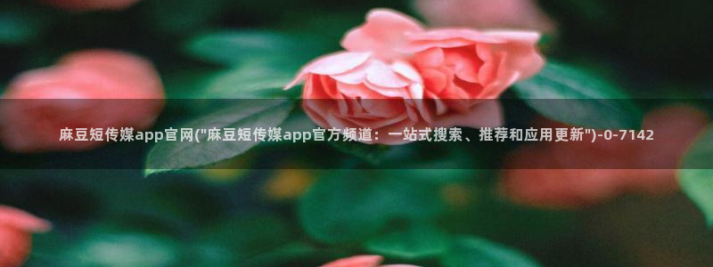 麻豆视频 系列在线看