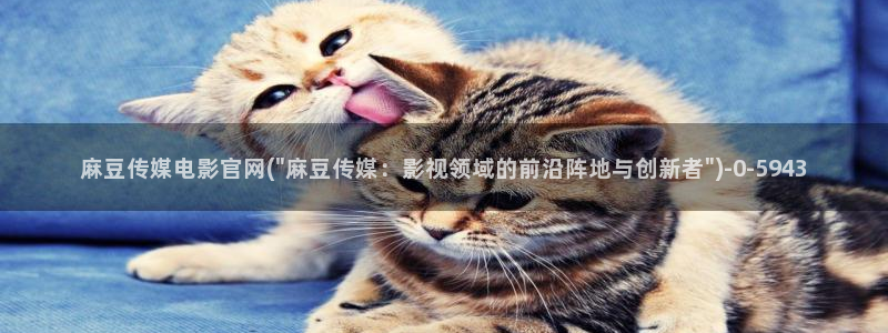 麻豆 入口高清：麻豆传媒电影官网(\