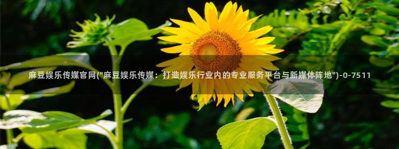 麻豆 热门：麻豆娱乐传媒官网(\