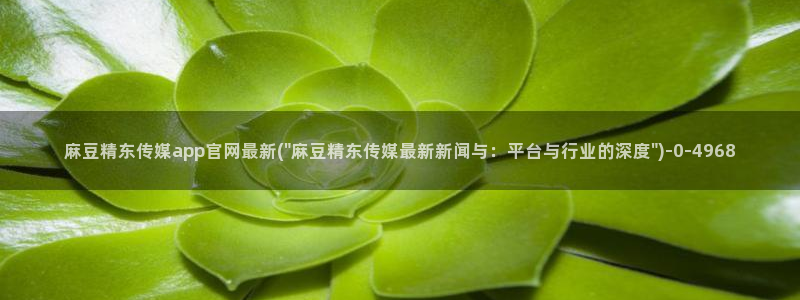 麻豆 在线看