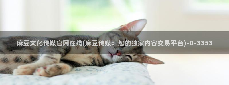 麻豆视频下载整理