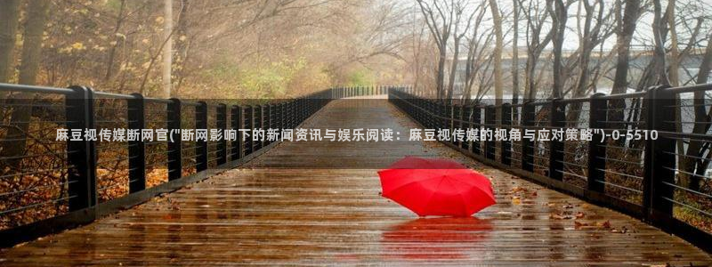 麻豆视频页面：麻豆视传媒断网官(\