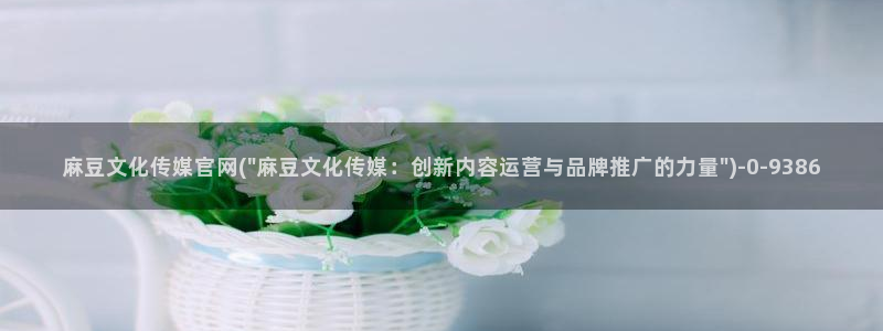 麻豆视频 图集专区：麻豆文化传媒官网(\