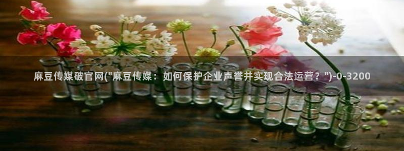 麻豆视频官方导航
