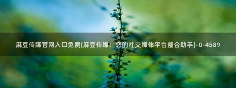 麻豆高清更新：麻豆传媒官网入口免费(麻豆传媒：您的社交媒