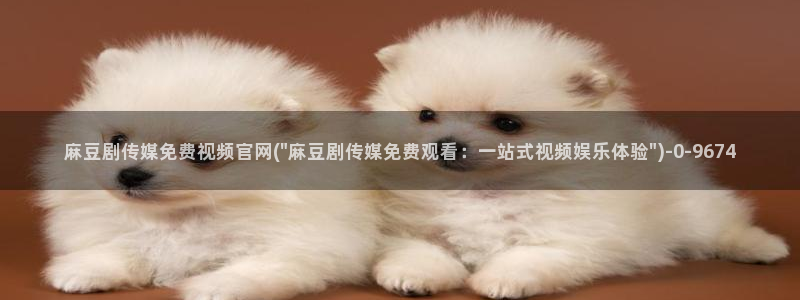麻豆视频 系列专区
