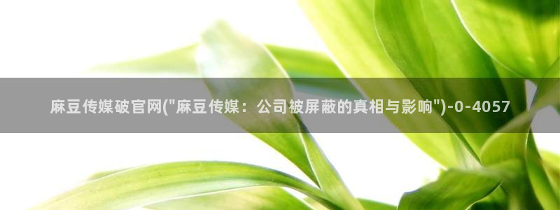 麻豆视频 站整理