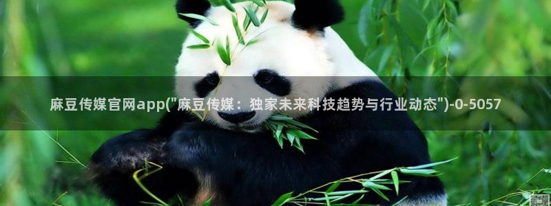 麻豆入口下载