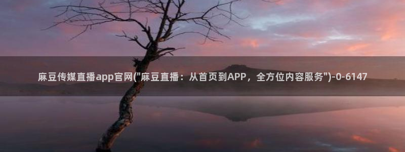 麻豆视频 资源最新